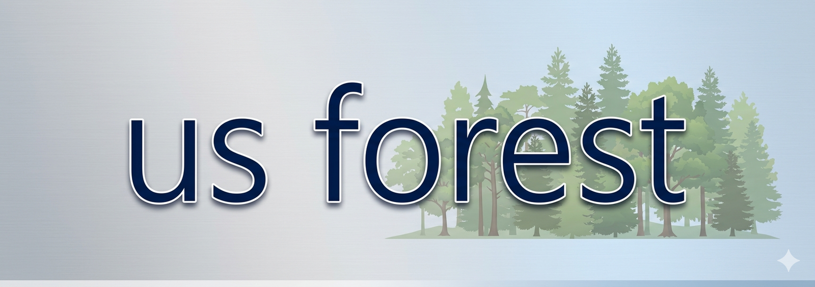US forest